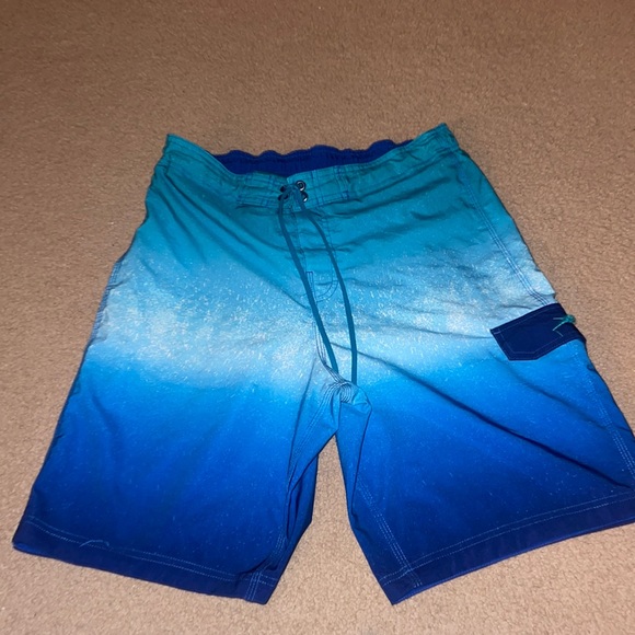 M Speedo Swim Trunks - Picture 1 of 1